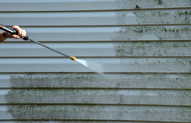 Best Exterior Home Cleaning  in Springfield, MN