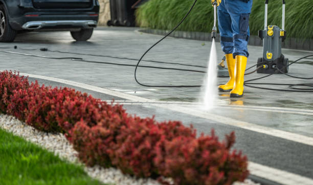 Best Pressure Washing Driveway  in Springfield, MN