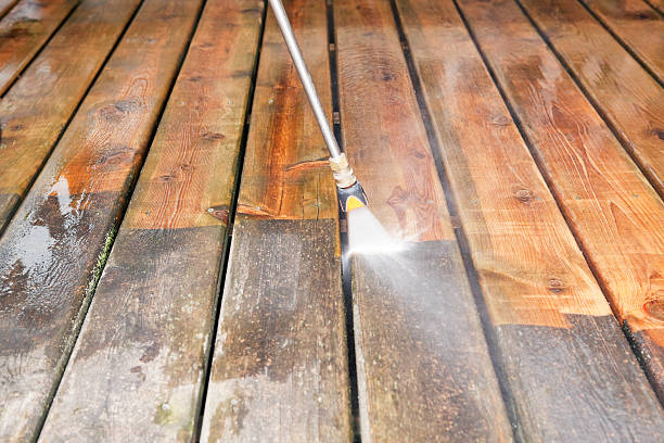 Roof Power Washing Services in Springfield, MN