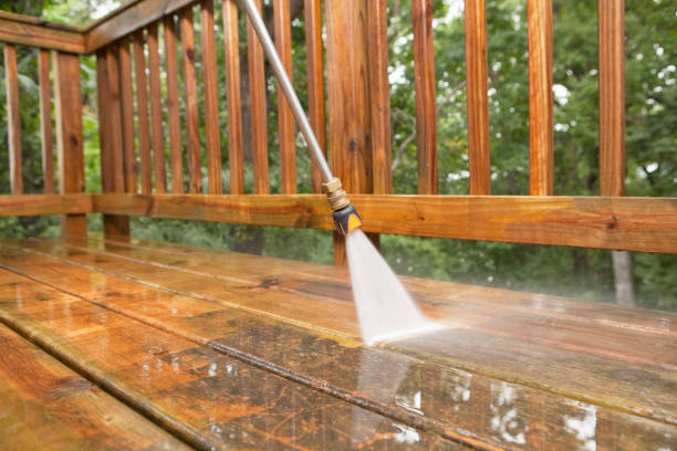 Professional Pressure Washing in Springfield, MN