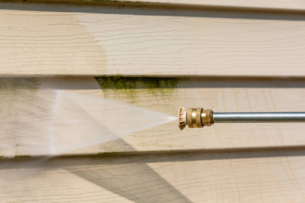 Best Roof Pressure Washing  in Springfield, MN