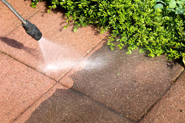 Best Affordable Pressure Washing  in Springfield, MN